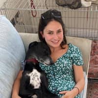 Sitter Profile Image: Susie P.