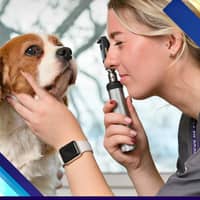 Sitter Profile Image: Ella C.