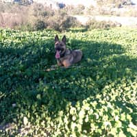 Foto del cuidador: Daniel E.