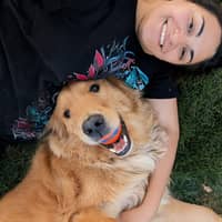 Sitter Profile Image: Livana M.