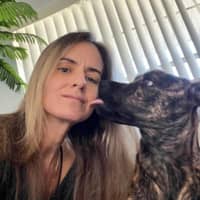 Sitter Profile Image: Jaclyn & David D.