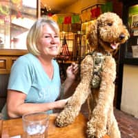 Sitter Profile Image: Cindy V.