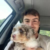 Sitter Profile Image: Carter A.