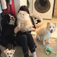 Sitter Profile Image: RuiXi G.