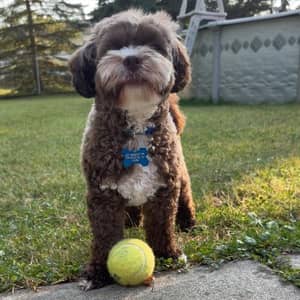 Sitter Profile Image: Tammy B.