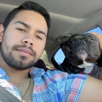 Sitter Profile Image: Carlos C.