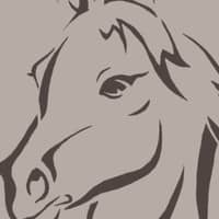 Sitter Profile Image: bridgette h.