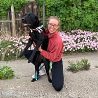 Sitter Profile Image: Molly S.