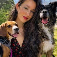 Photo de profil du pet sitter : Catarina V.