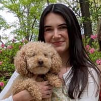 Sitter Profile Image: Sydney J.