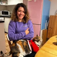 Sitterprofilbild: Hazal S.