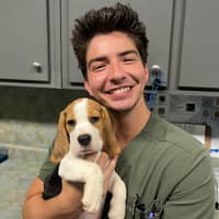 Sitter Profile Image: Nicholas H.