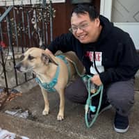 Sitter Profile Image: ngoc hoa p.