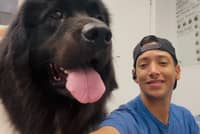 Sitter Profile Image: Norbert V.