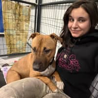 Sitter Profile Image: Alicia M.