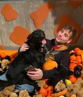 Sitter Profile Image: Nicholas M.