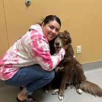 Sitter Profile Image: Sarah S.