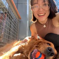 Sitter Profile Image: Thư N.