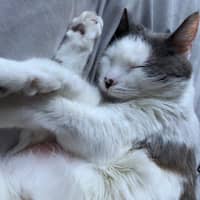 Sitter Profile Image: Amanda F.