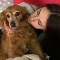 Immagine del profilo del sitter: Eleonora C.