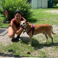 Sitter Profile Image: Jennie K.