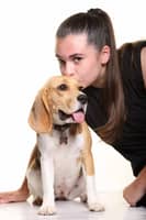 Photo de profil du pet sitter : Stella B.