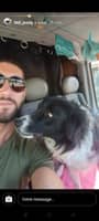 Photo de profil du pet sitter : Jessy B.