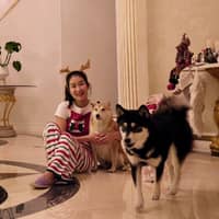 Sitter Profile Image: Ning T.