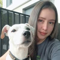 Photo de profil du pet sitter : Heidi S.