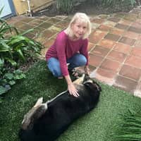 Sitter Profile Image: Donna I.