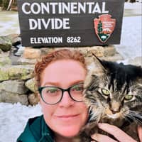 Sitter Profile Image: Sarah D.