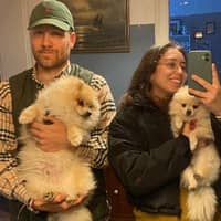 Sitterprofilbild: Diana S.