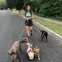 Sitter Profile Image: Carrie G.