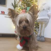 Foto del cuidador: Belén R.