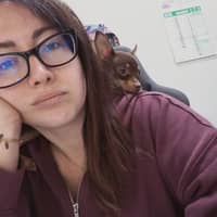 Immagine del profilo del sitter: Debora T.