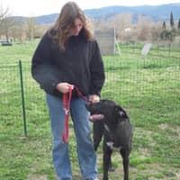 Photo de profil du pet sitter : Anaé L.