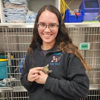 Sitter Profile Image: Katie T.