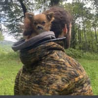 Photo de profil du pet sitter : Sylvain B.