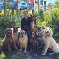 Sitter Profile Image: Brittney M.