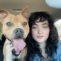 Sitter Profile Image: Delaney B.