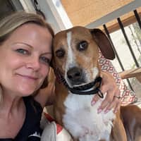 Sitter Profile Image: Diana & Kevin S.