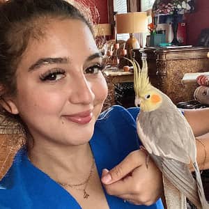 Sitter Profile Image: Meagan M.