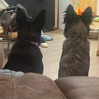 Sitter Profile Image: Jessica W.