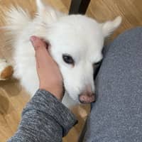 Sitter Profile Image: Rae L.