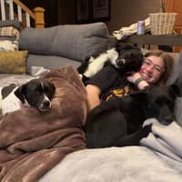 Sitter Profile Image: Adriana S.