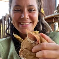 Sitterprofilbild: Alissa P.