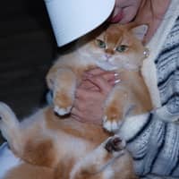 Sitter Profile Image: JUNJIE M.