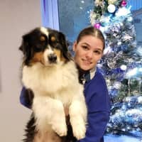 Photo de profil du pet sitter : Sarah D.