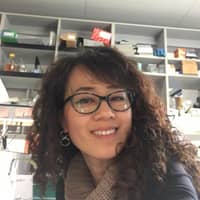 Sitter Profile Image: Dahui S.