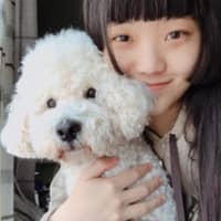 Sitterprofilbild: Yixin L.